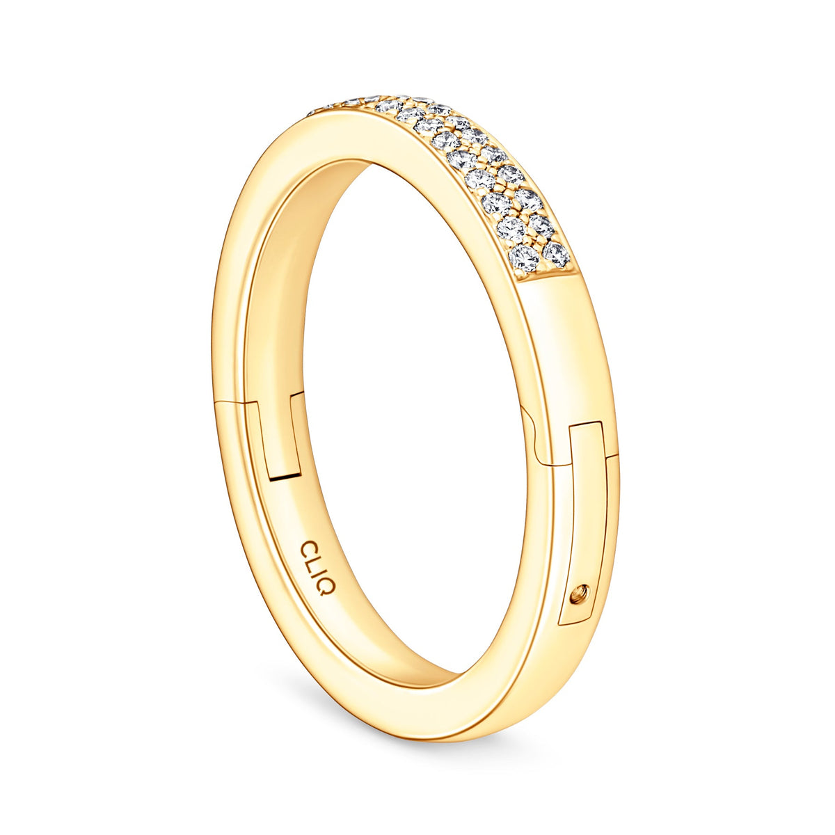 Bella Micro Pave Double Row Diamond Band