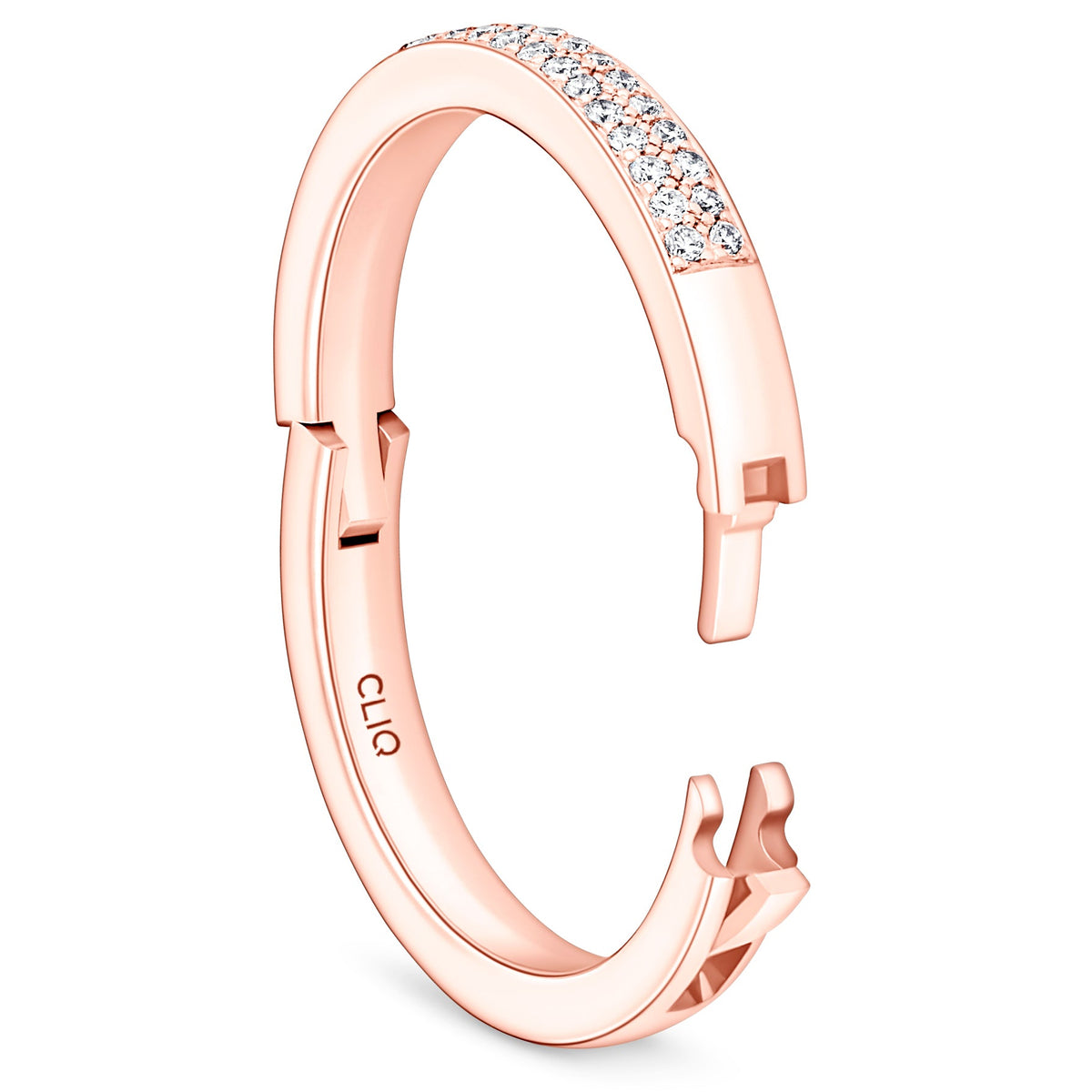 Bella Micro Pave Double Row Diamond Band
