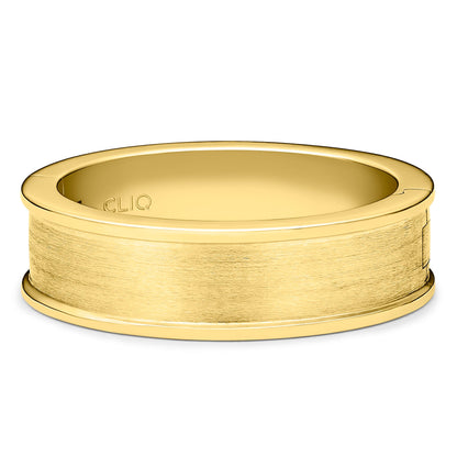 Aldridge Band with Matte Finished Center, 6mm