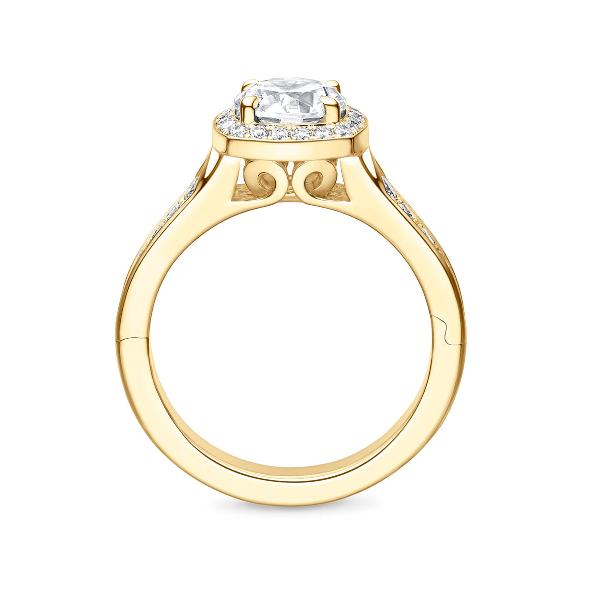 Abington Halo Engagement Ring with Side Stones