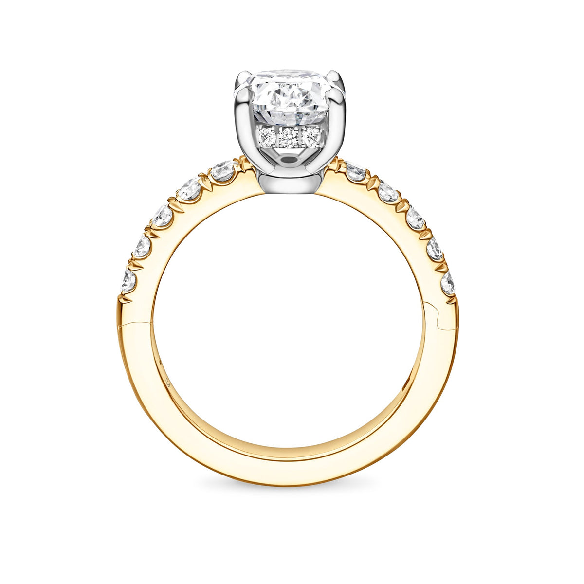 Camden Halo Engagement Ring with Side Stones
